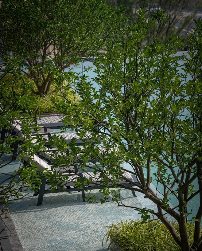 中海·龙湖百贤府 - hhlloo
