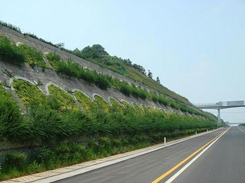 护坡透水砖与滑坡植被、透水性生态护坡砖