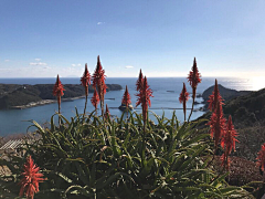 初耳采集到风景