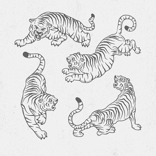 手绘老虎动作插画矢量图素材