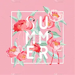 传单,夏天,鸡尾酒,牡丹,火烈鸟,纺织品,野生动物,壁纸,自然美