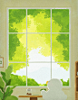 Afternoon sun - 小红书