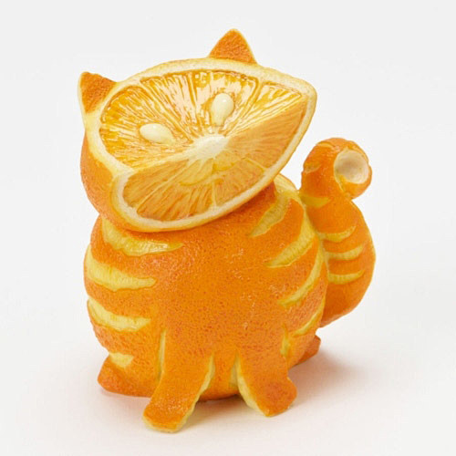 橘子猫-其它创意 创意速递