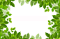 绿色树叶边框设计高清图片 - 素材中国16素材网
