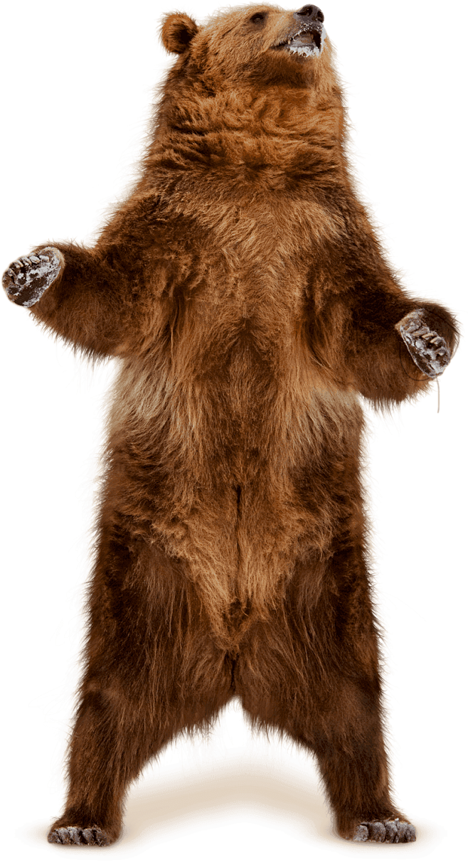 cover-grizzly.png (8...