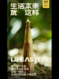 广告文案｜生活本来就这样 - 小红书