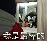 熊本表情包大集合-兴趣部落