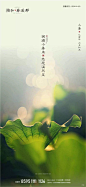 小暑，地产，广告，传播，转发，微信，节气
● 更多刷屏稿：https://huaban.com/z54427/#show_collection
