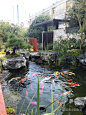春城苏院昆明 (10)