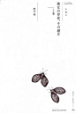 tis-tamae-mizukami-medium (1)