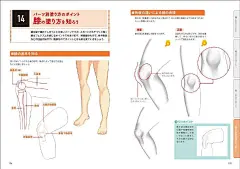 板绘学习/绘画教程/作画步骤 皮肤的上色参考 ​​​​
花瓣关注原画人，推荐更多精选素材，绘画更有灵感