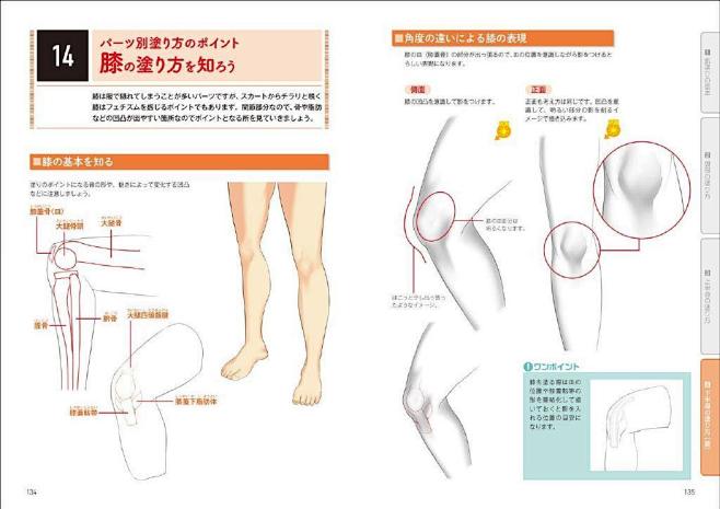 板绘学习/绘画教程/作画步骤 皮肤的上色...