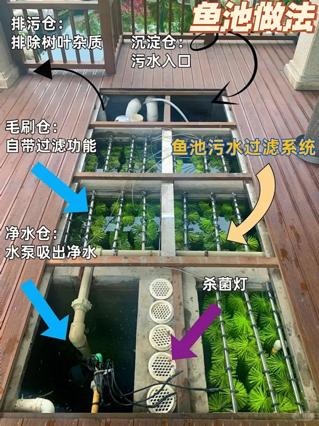 重庆花园设计/清澈鱼池背后隐藏着强大过滤