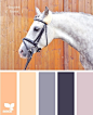 马的色彩搭配图。