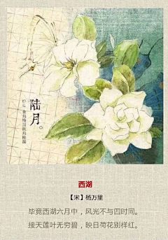 今天不拍照采集到节气