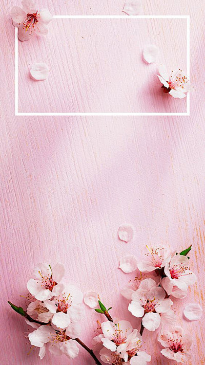 粉色浪漫鲜花H5背景，来自爱设计http...