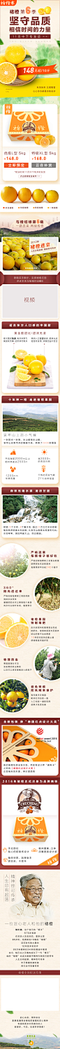 褚橙   褚世健  绿色 水果 橙子  实建  褚橙 团队  全新打造  橙  生鲜  果  详情页 制作  本来生活 第6季