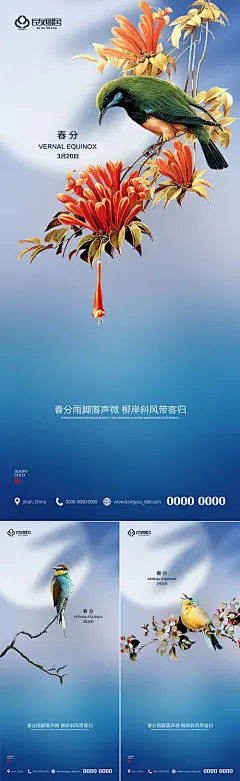 【源文件下载】 海报 春分 二十四节气 小鸟 树枝  358713