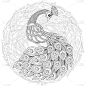 孔雀讲求禅居易理的。成人抗压力涂色页。
