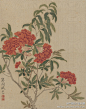 #女画家#【 清 恽冰 《花卉图》 】册页，绢本设色，28.1×22.3cm×10，上海博物馆藏。 此花卉册共十开，为花鸟写生或仿摹之作。充分反映了作者没骨画法的特色，设色雅致和谐，柔美动人。构图明快简洁，脉络勾线圆润饱满，富有变化。