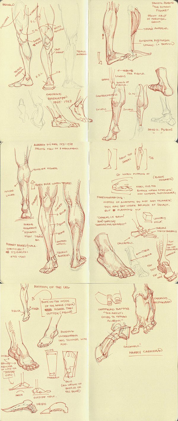 百家人体结构画法 之 腿部-大腿动作