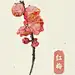 阿昕-涂鸦王国