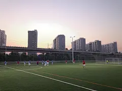 公司踢球，还蹭了一套球衣。现在越来越胖，要多运动一下了。,我就是老马