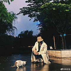 冰湘君采集到明星