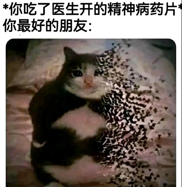 我有多爱你_meme图吧_百度贴吧-花瓣网