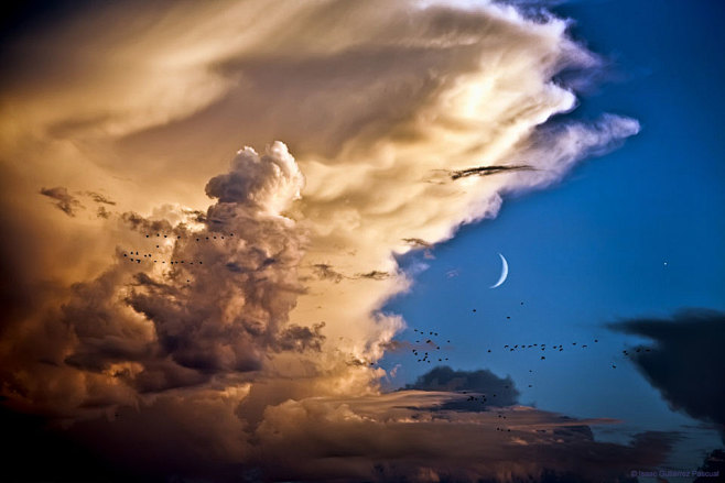 Clouds, Birds, Moon,...
