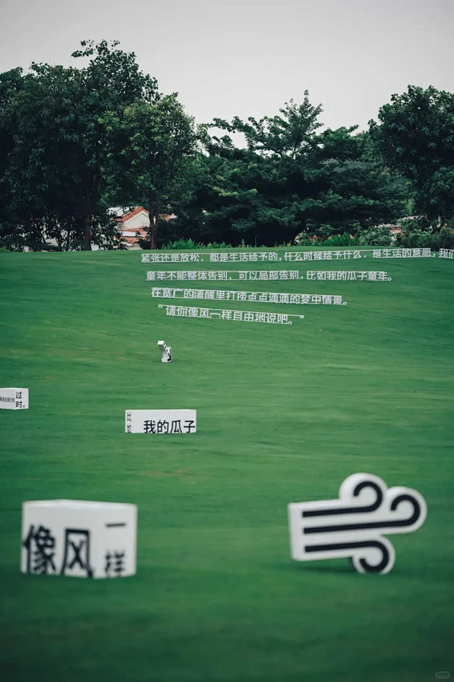 【案例分享】余华 | “山谷微风”发布会...