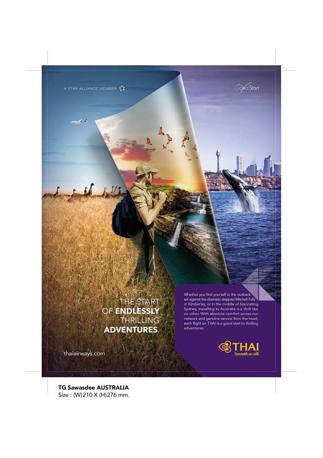 THAI AIRWAYS (NETWOR...