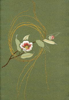 Dan`joo采集到花