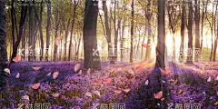 森林创意海报图片  - 源文件下载【酷图网】意境,唯美,简约,极简,梦幻,创意,插画,手绘,梦境,小清新海报,卡通插画,森林插画,小清新,简约风格,国潮,韵味,温馨,文艺范,文艺海报,手绘风,浪漫,治愈系,可爱,温暖,安逸,舒适,梦中世界,星空,森系插画,淡雅,文艺风,中国风,放飞梦想,创意合成,萤灵之光,丛林,树林,动物,奇幻森林,森林海报
