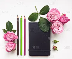 平坦的,玫瑰,速写本,铅笔,多色的,洛杉矶,青少年,贺卡,留白