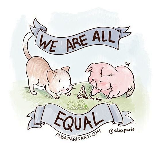 WE ARE ALL EQUAL  We...
