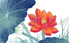 荷花荷叶 【酷图网】荷花,莲子,莲花,手绘荷花,水墨荷花,中国水墨画,蜻蜓,水墨画,干枯莲子,花鸟工笔画,荷叶