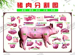 猪肉 【酷图网】猪肉图,猪,分割图,猪肉海报,猪肉部位