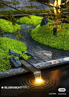 双份长颈鹿采集到雨水花园&海绵