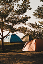 500+ Camping Images [HD] | Download Free Images on Unsplash