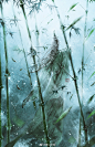 人渣反派自救系统超话  #冰秋#  九图存档。 ​​​​
