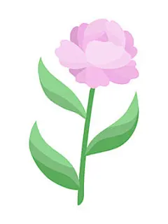 图源免费EPS |Peony flower in cartoon style in pale pink and green colors. Soft, delicate, botanical, floral illustration. Vector natural design element. Clipart for decoration, print, poster, card, cover, label