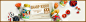 TB2rd2smVXXXXaFXFXXXXXXXXXX-202980389.png (1920×480)