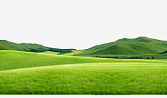 散会……采集到背景（天空 森林 草地 自然）