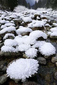 深情海洋采集到雪色美景！