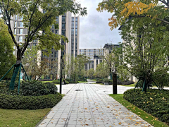 冰雪儿08888采集到杭州葛洲坝中国府
