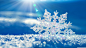 蓝色的冬天Jootix雪 - 壁纸（#2893309）/ Wallbase.cc