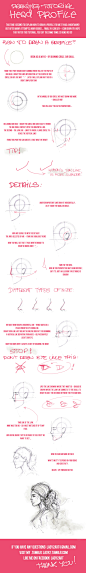 head_proportions_tutorial2. by =Lady2 on deviantART