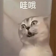 超级适合聊天的搞笑表情包来啦～ - 抖音