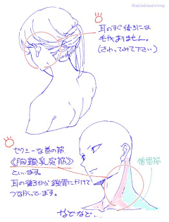 ll么么哒采集到动态/形体/局部